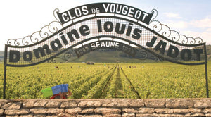 Blog du vin : Maison Louis Jadot : Un héritage intemporel qui embrasse l'excellence durable